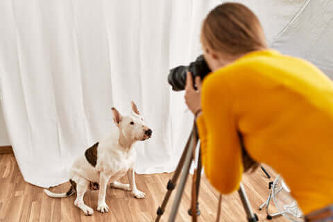 haciendo una foto a un perro