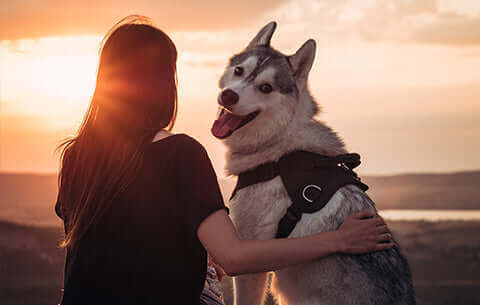 chica con perro frente al sol