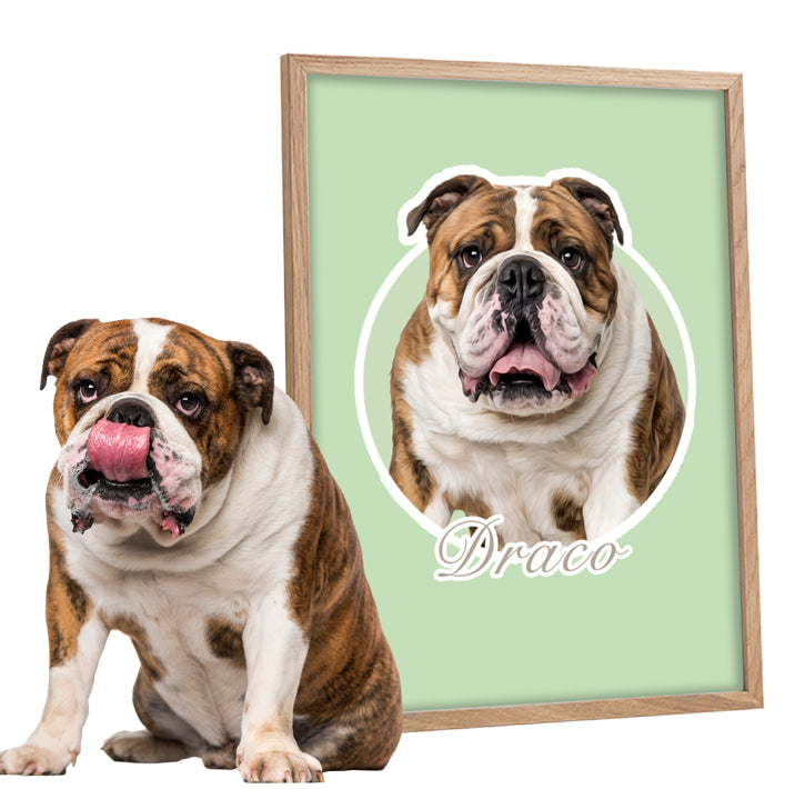 Retrato de perro diseño ARO con un Bulldog inglés posando con su dibujo