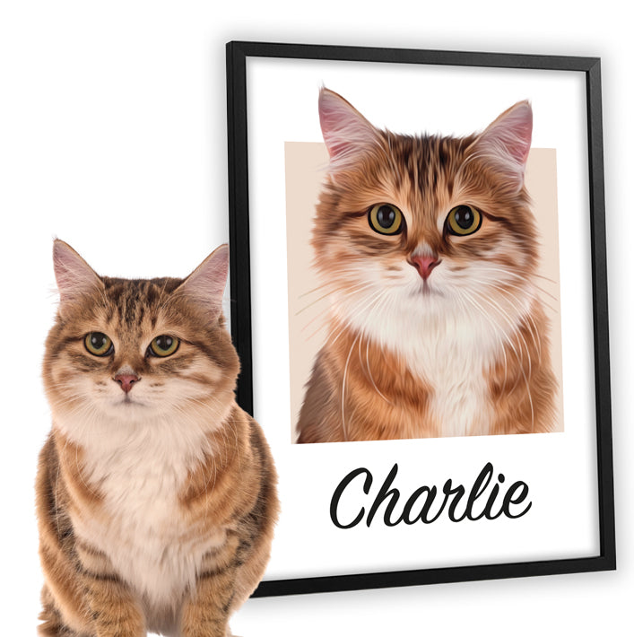 Retrato de gato diseño RECTI con un Maine Coon rojizo posando con su dibujo personalizado