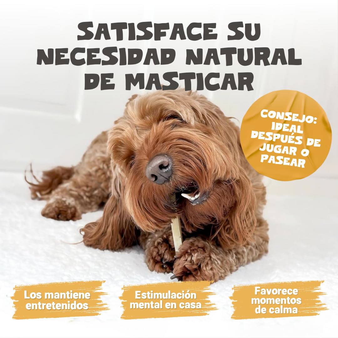 Pets Purest Barrita Masticable de Leche de Yak del Himalaya Grande - para Todas Las Edades Incluidos Cachorros y Mayores - Barrita Dental para Perros con Proteínas y Calcio - para Cuidar los Dientes