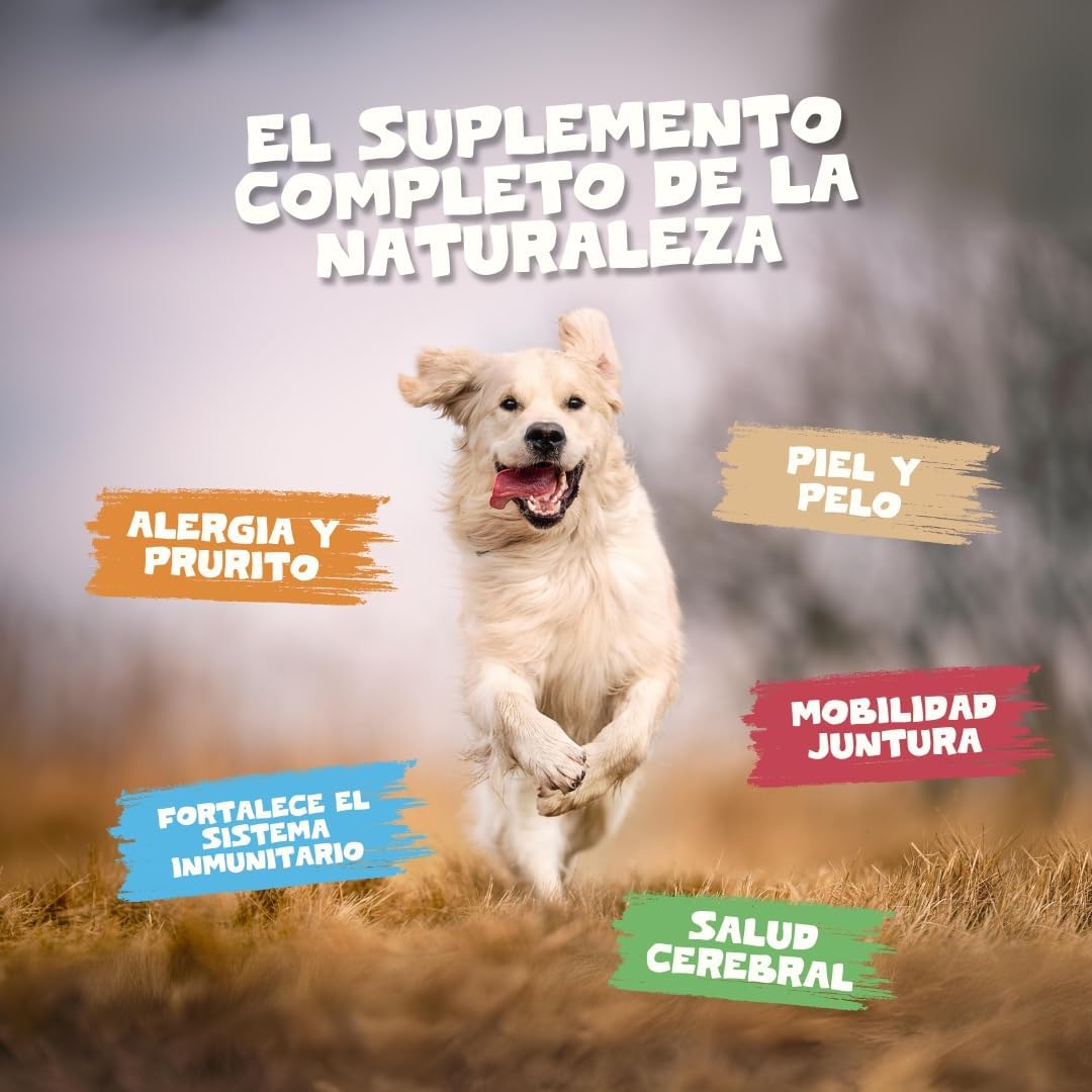 Pets Purest Óleo de salmão escocês puro Premium Food 100% natural 500 ml. Suplemento Omega 3, 6 e 9 para cães, gatos e animais de estimação. Promove a saúde da pele, articulações e cérebro
