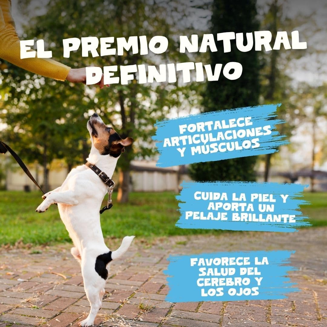 Pets Purest 100% Air-Dried Fish Snacks for Dogs - Single Ingredient - Grain, Gluten and Lactose Free - Healthy Puppy Dogs Snacks (100 g)