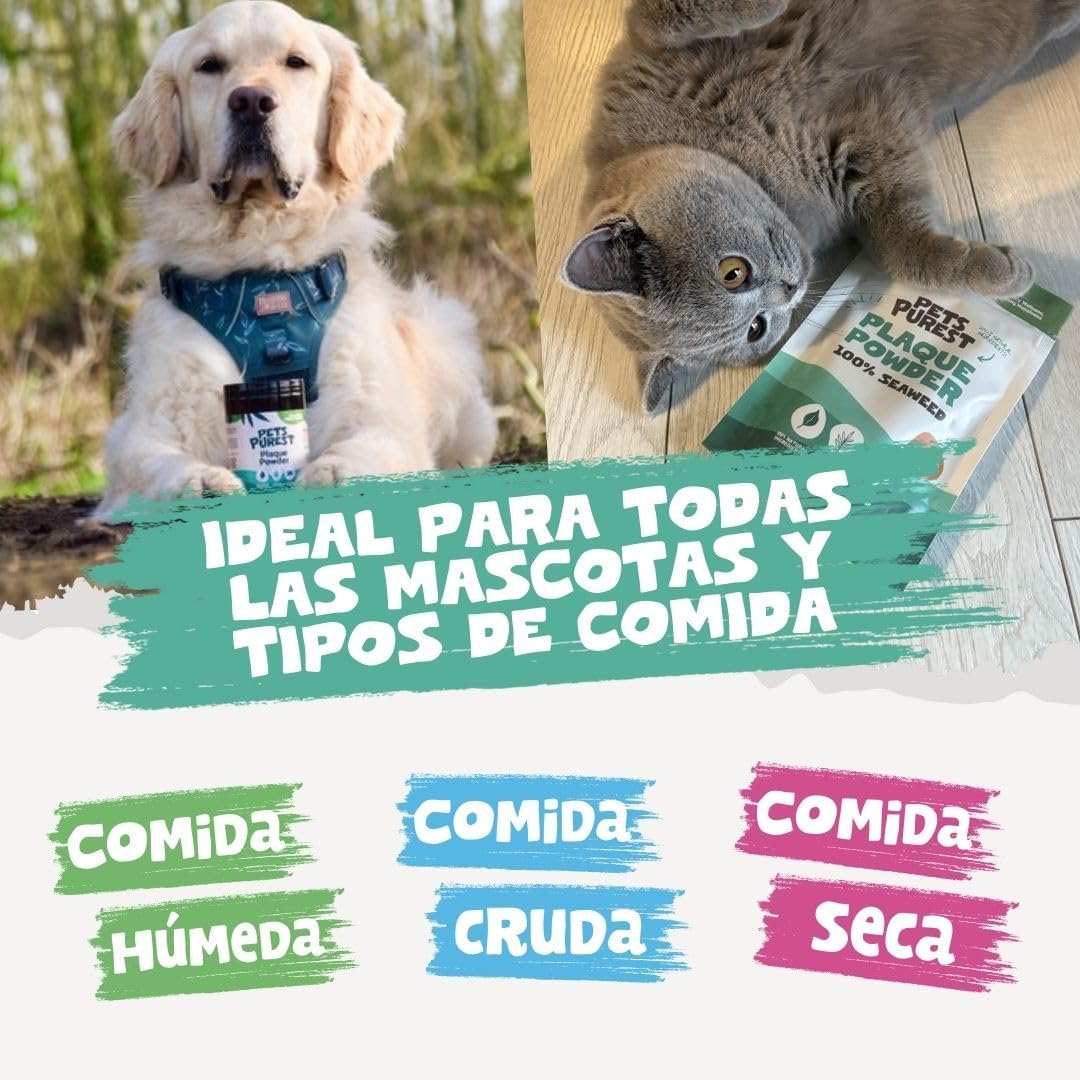 Pets Purest Polvo Dental Antisarro 185g - Elimina el Sarro y la Placa Dental en Perros, Gatos y Mascotas - 100% Natural para Prevenir el Mal Aliento