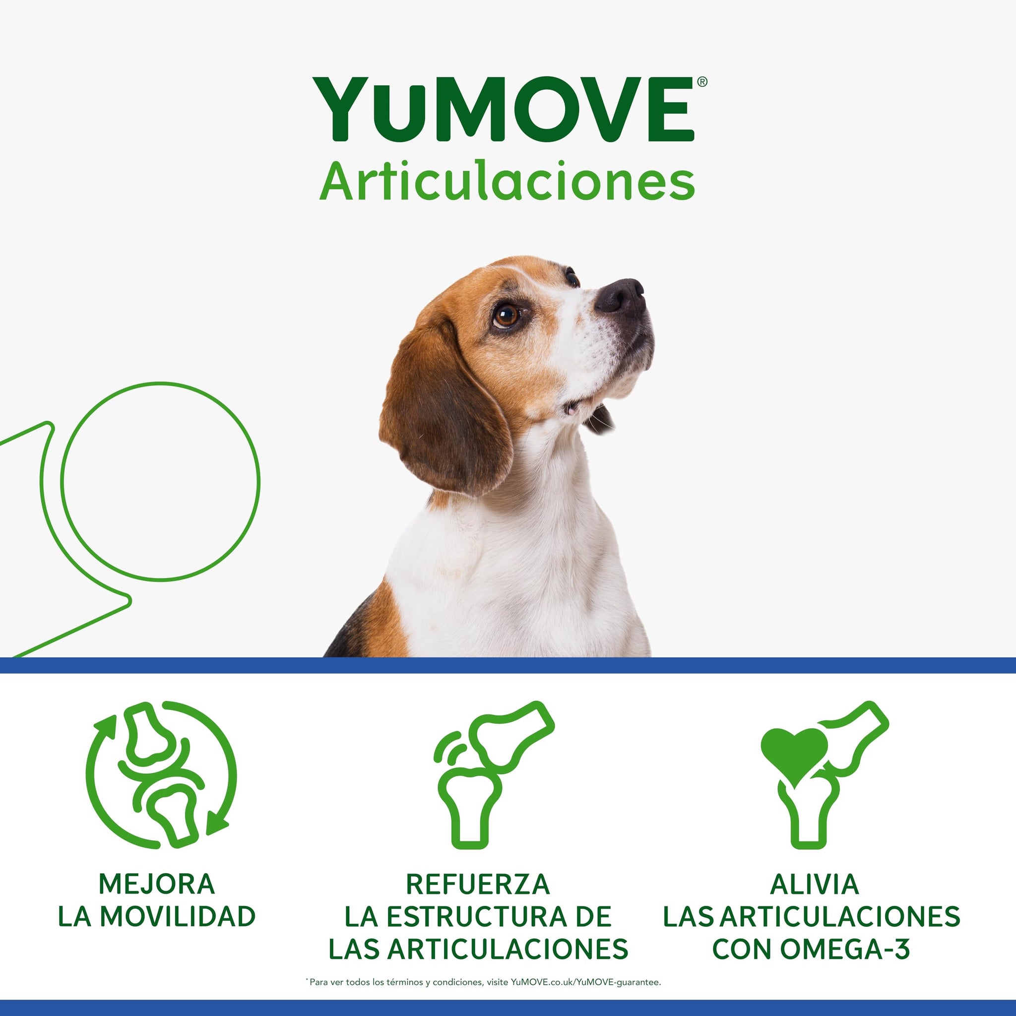 YuMOVE Condroprotector Perros Adultos 5-8 Años 60 Tabletas - 150mg Cada Pastilla Patente Pendiente Mejillón Labio Verde ActivEase, Glucosamina, Condroitina - Movilidad Articulaciones Todas Las Razas