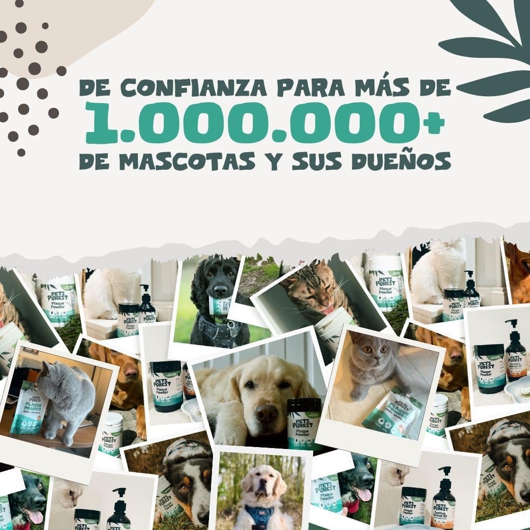 Pets Purest Polvo Dental Antisarro 185g - Elimina el Sarro y la Placa Dental en Perros, Gatos y Mascotas - 100% Natural para Prevenir el Mal Aliento