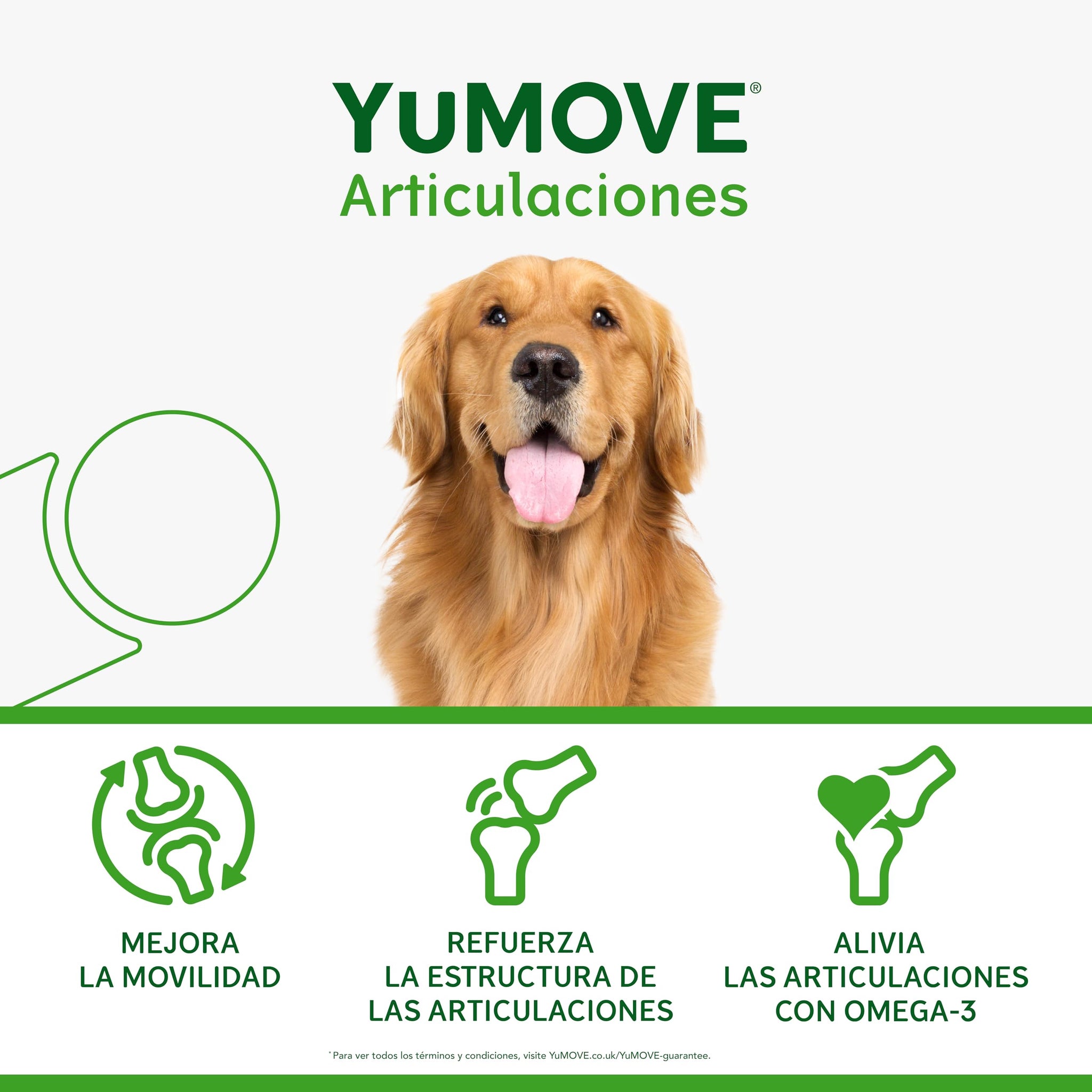 YuMOVE Condroprotector Perros Adultos 5-8 Años 60 Tabletas - 150mg Cada Pastilla Patente Pendiente Mejillón Labio Verde ActivEase, Glucosamina, Condroitina - Movilidad Articulaciones Todas Las Razas