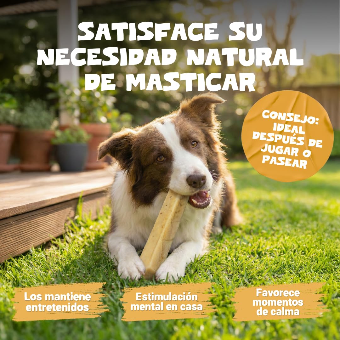 Pets Purest Barrita Masticable de Leche de Yak del Himalaya Grande - para Todas Las Edades Incluidos Cachorros y Mayores - Barrita Dental para Perros con Proteínas y Calcio - para Cuidar los Dientes