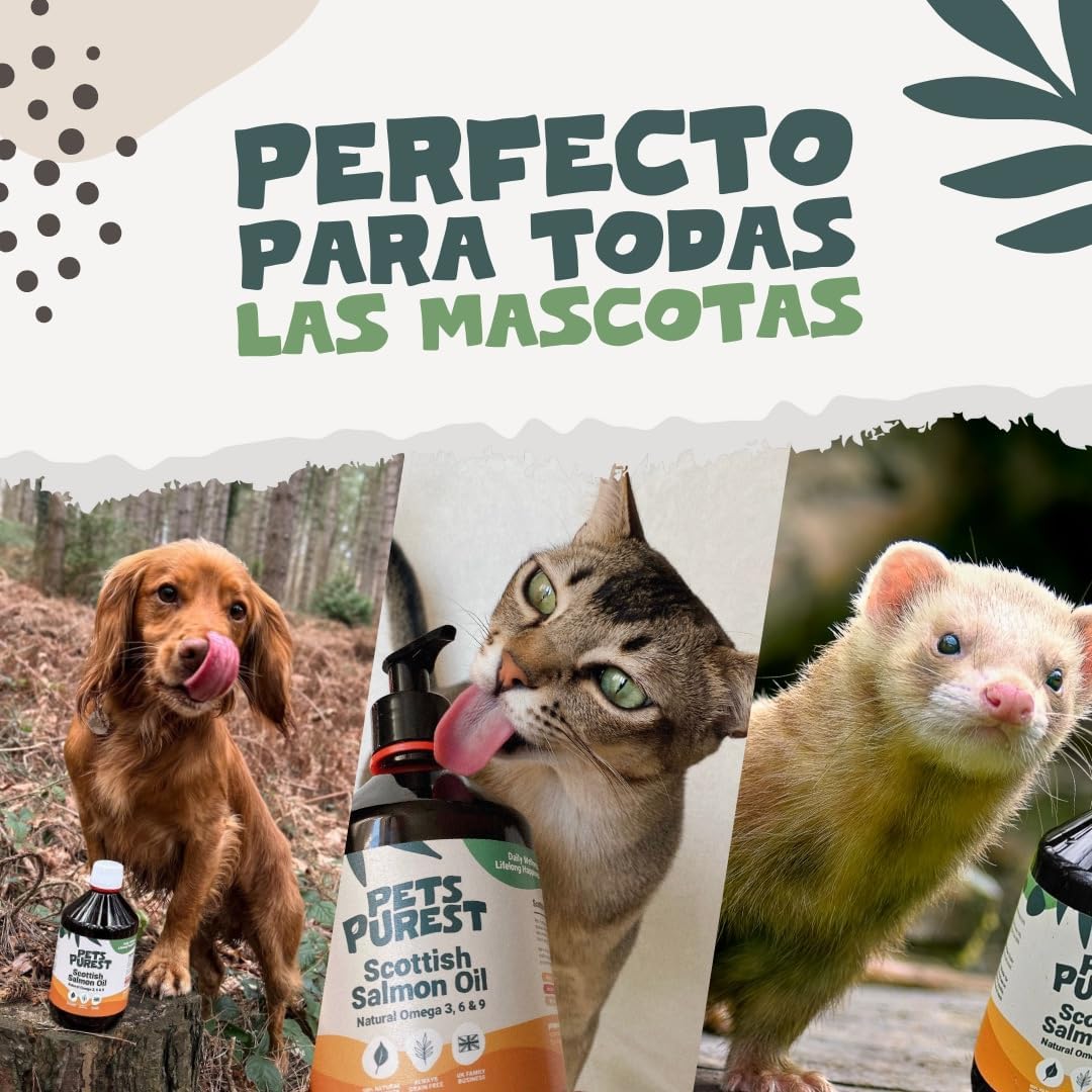 Pets Purest Óleo de salmão escocês puro Premium Food 100% natural 500 ml. Suplemento Omega 3, 6 e 9 para cães, gatos e animais de estimação. Promove a saúde da pele, articulações e cérebro