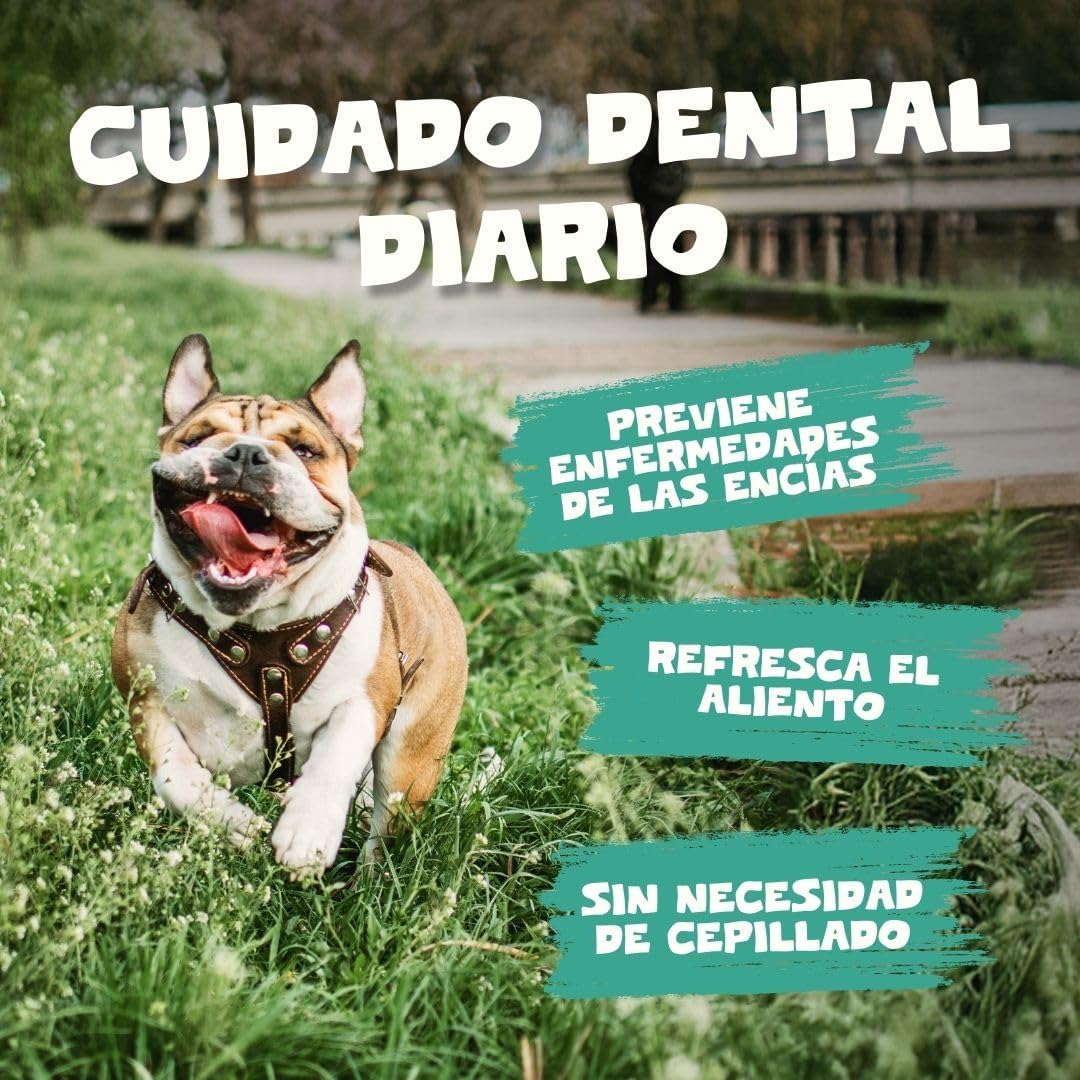 Pets Purest Polvo Dental Antisarro 185g - Elimina el Sarro y la Placa Dental en Perros, Gatos y Mascotas - 100% Natural para Prevenir el Mal Aliento