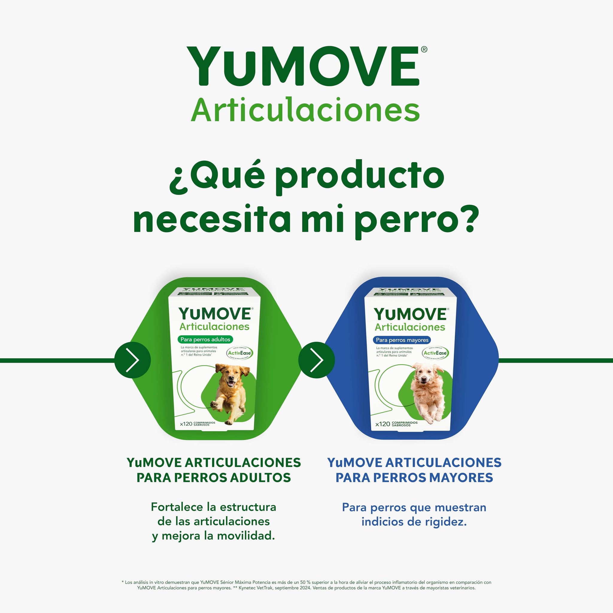 YuMOVE Condroprotector Perros Adultos 5-8 Años 60 Tabletas - 150mg Cada Pastilla Patente Pendiente Mejillón Labio Verde ActivEase, Glucosamina, Condroitina - Movilidad Articulaciones Todas Las Razas