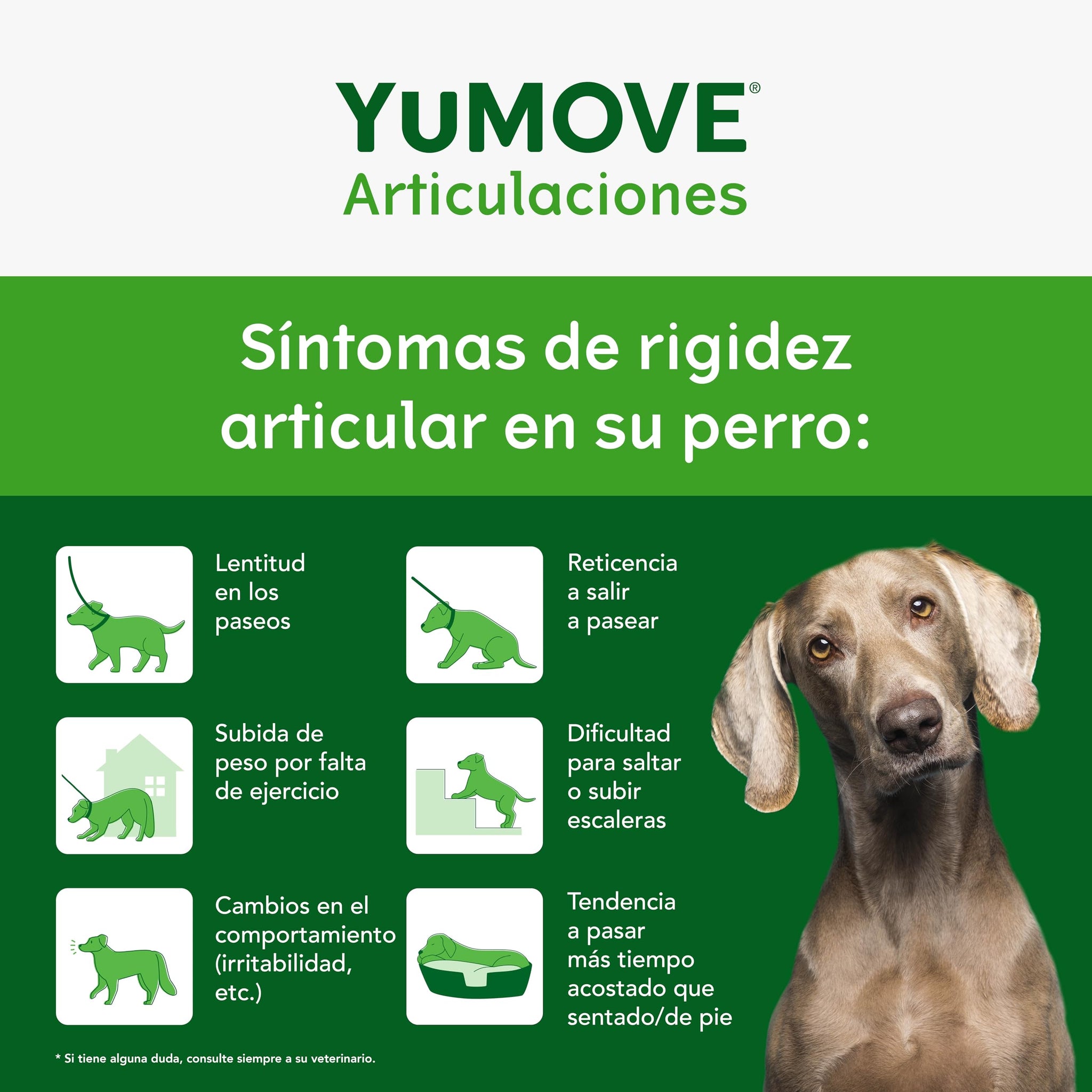 YuMOVE Condroprotector Perros Adultos 5-8 Años 60 Tabletas - 150mg Cada Pastilla Patente Pendiente Mejillón Labio Verde ActivEase, Glucosamina, Condroitina - Movilidad Articulaciones Todas Las Razas