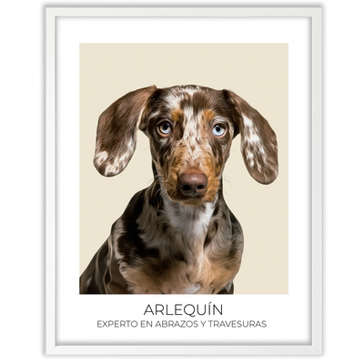 Cuadro retrato recuerdo mascotas