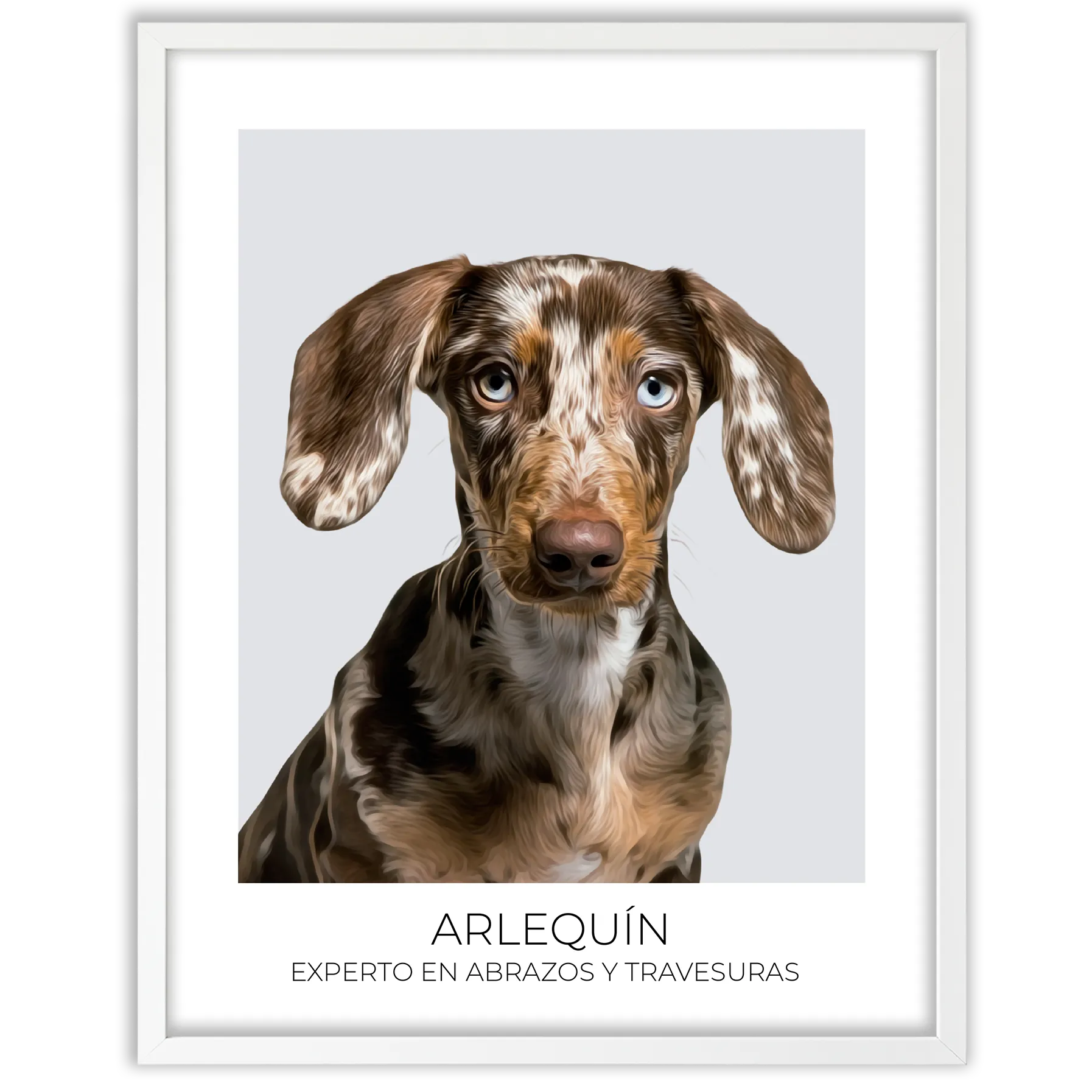 Cuadro retrato recuerdo mascotas