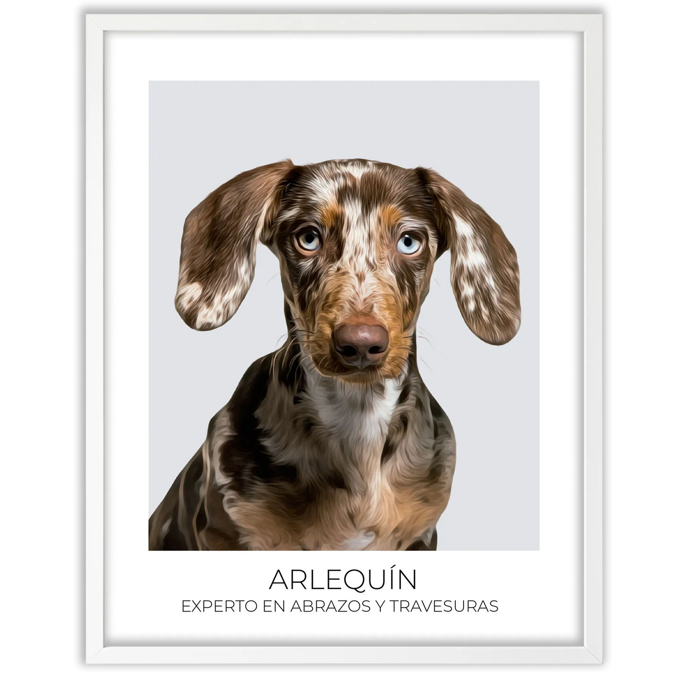 Cuadro retrato recuerdo mascotas
