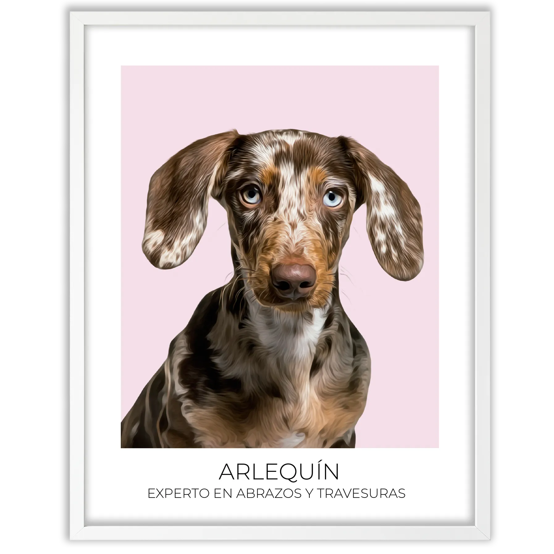 Cuadro retrato recuerdo mascotas