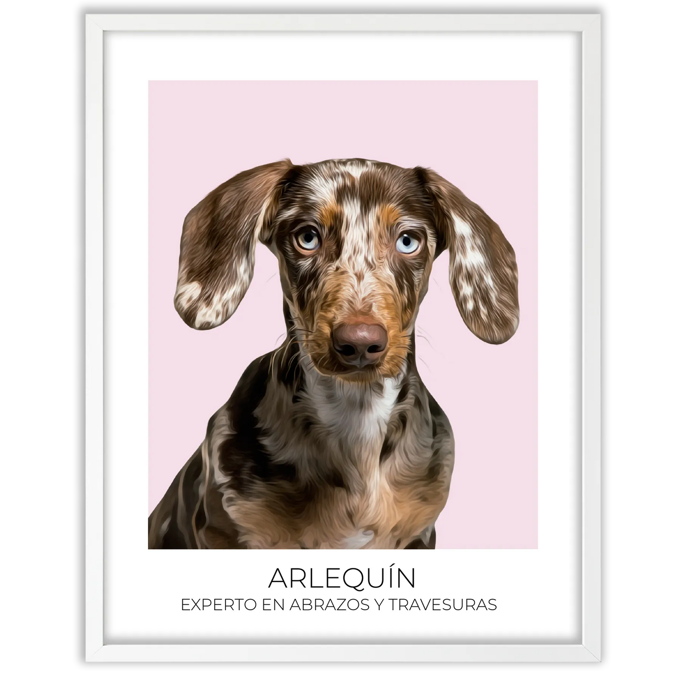 Cuadro retrato recuerdo mascotas