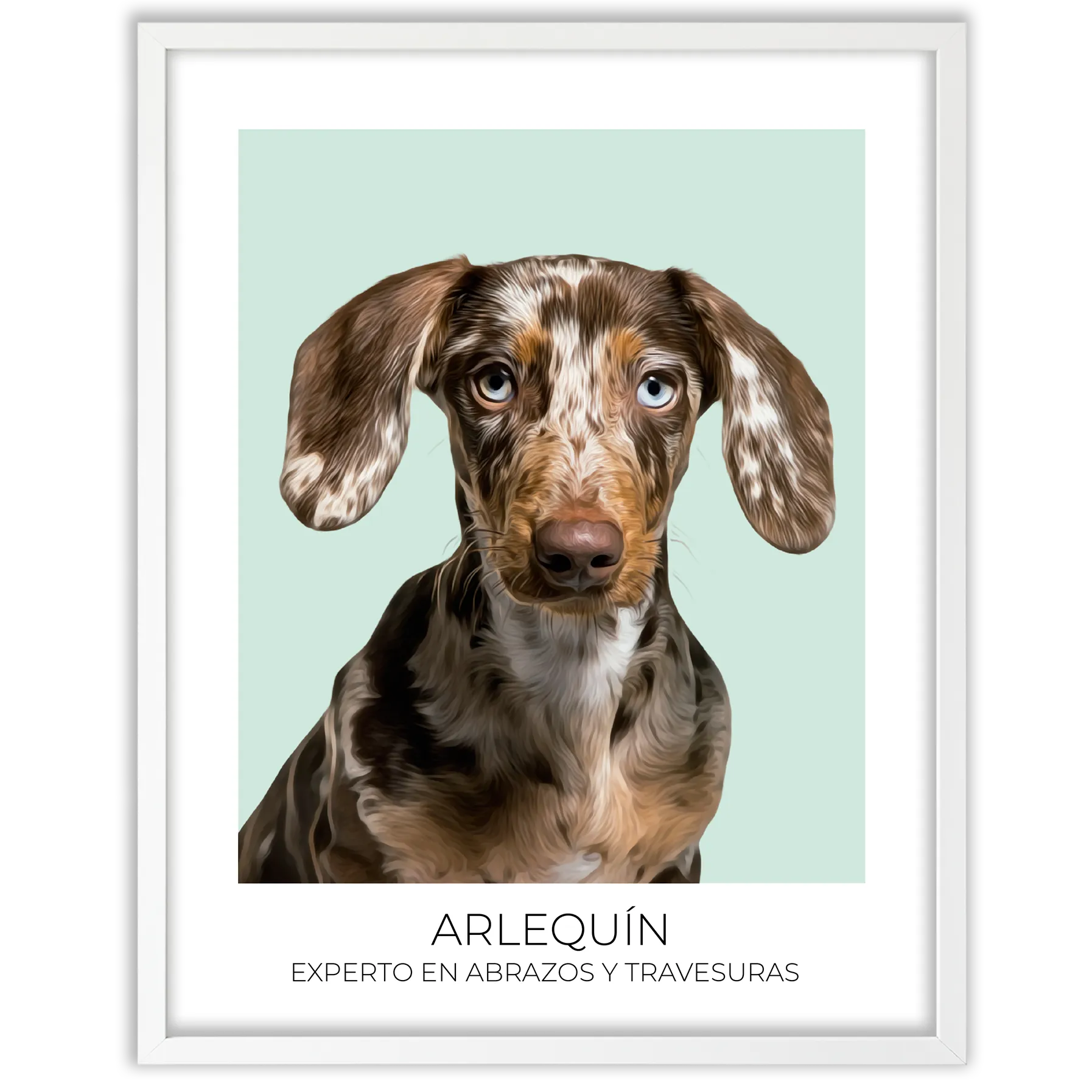 Cuadro retrato recuerdo mascotas