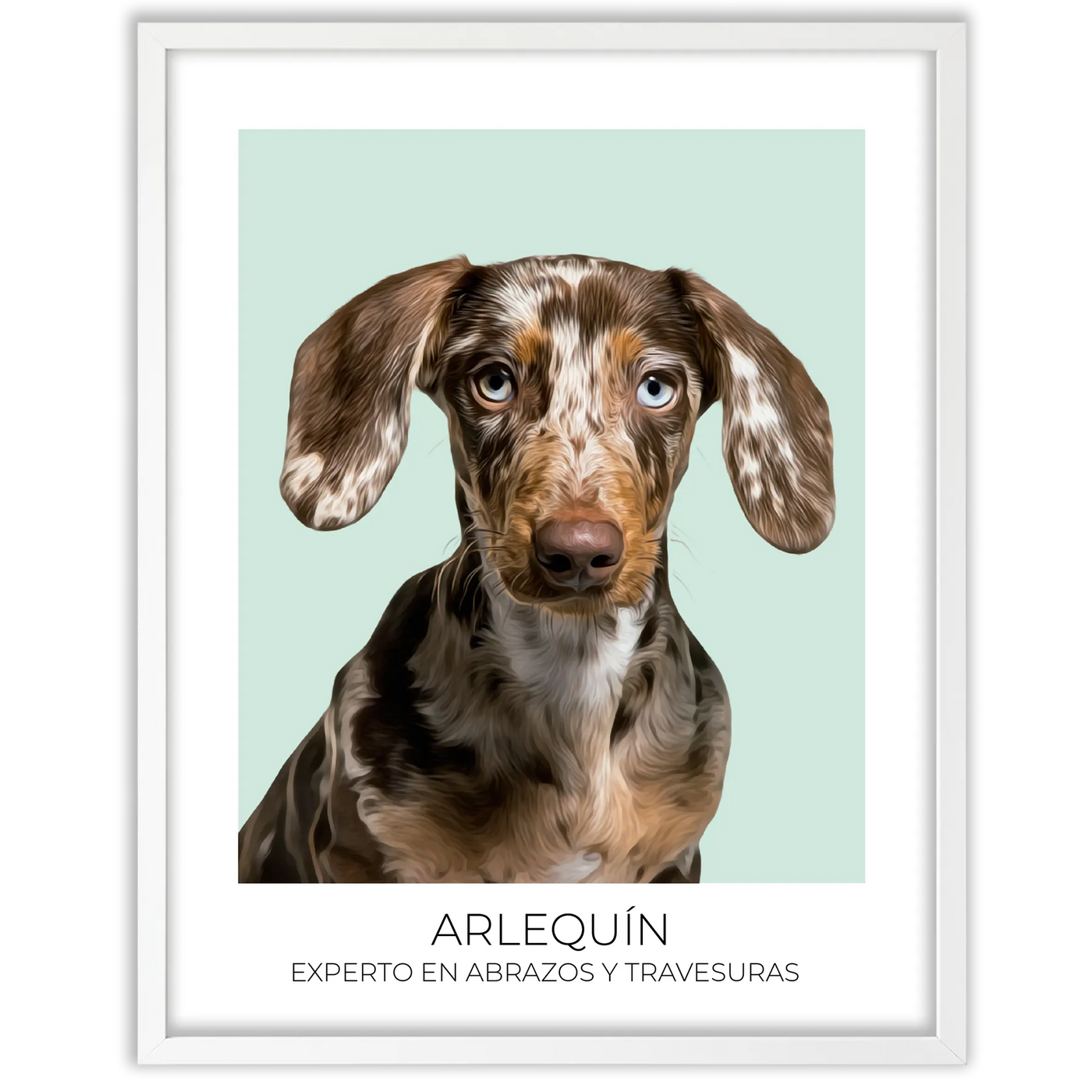 Cuadro retrato recuerdo mascotas