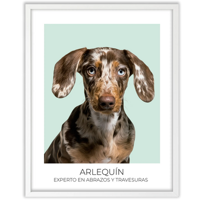 Cuadro retrato recuerdo mascotas