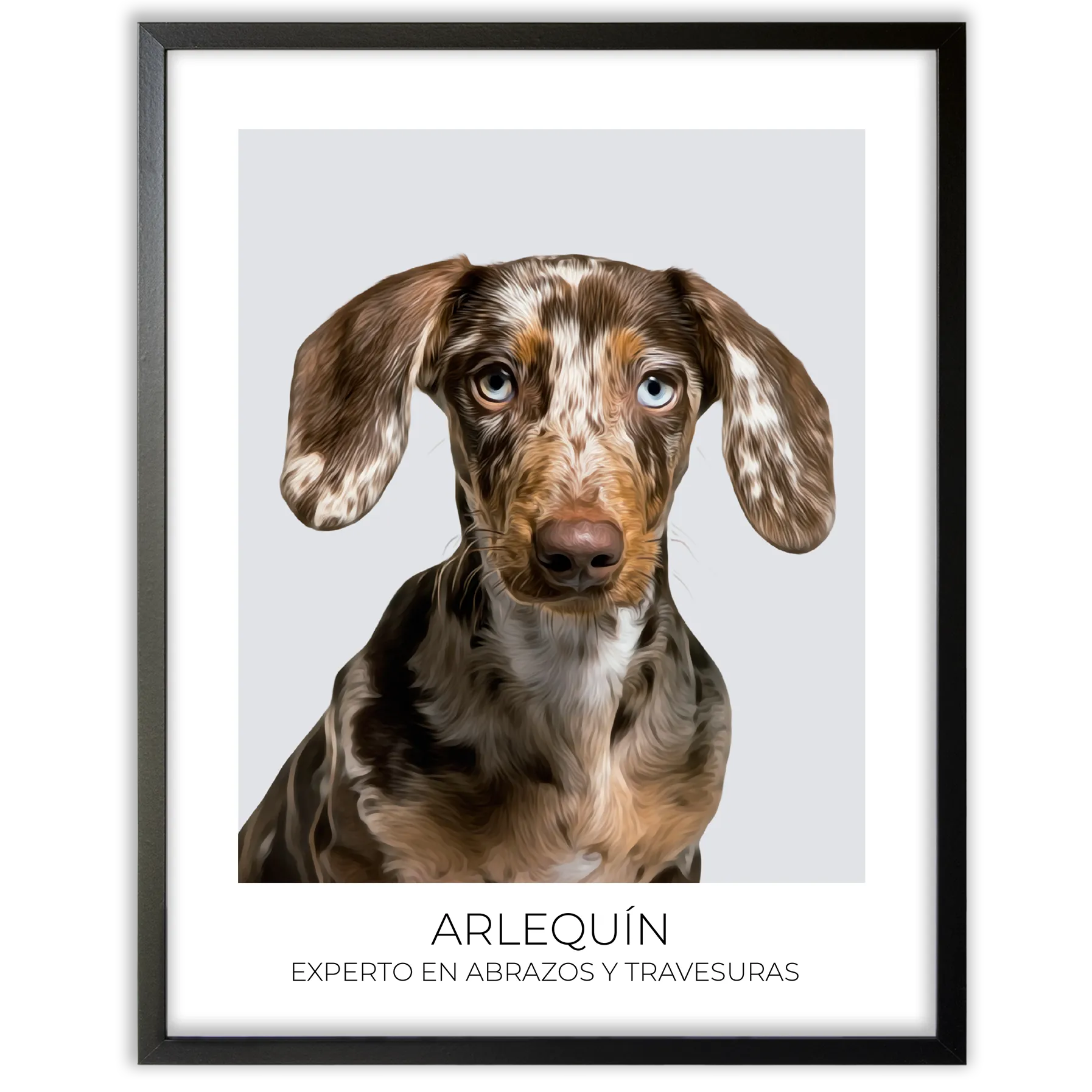 Cuadro retrato recuerdo mascotas
