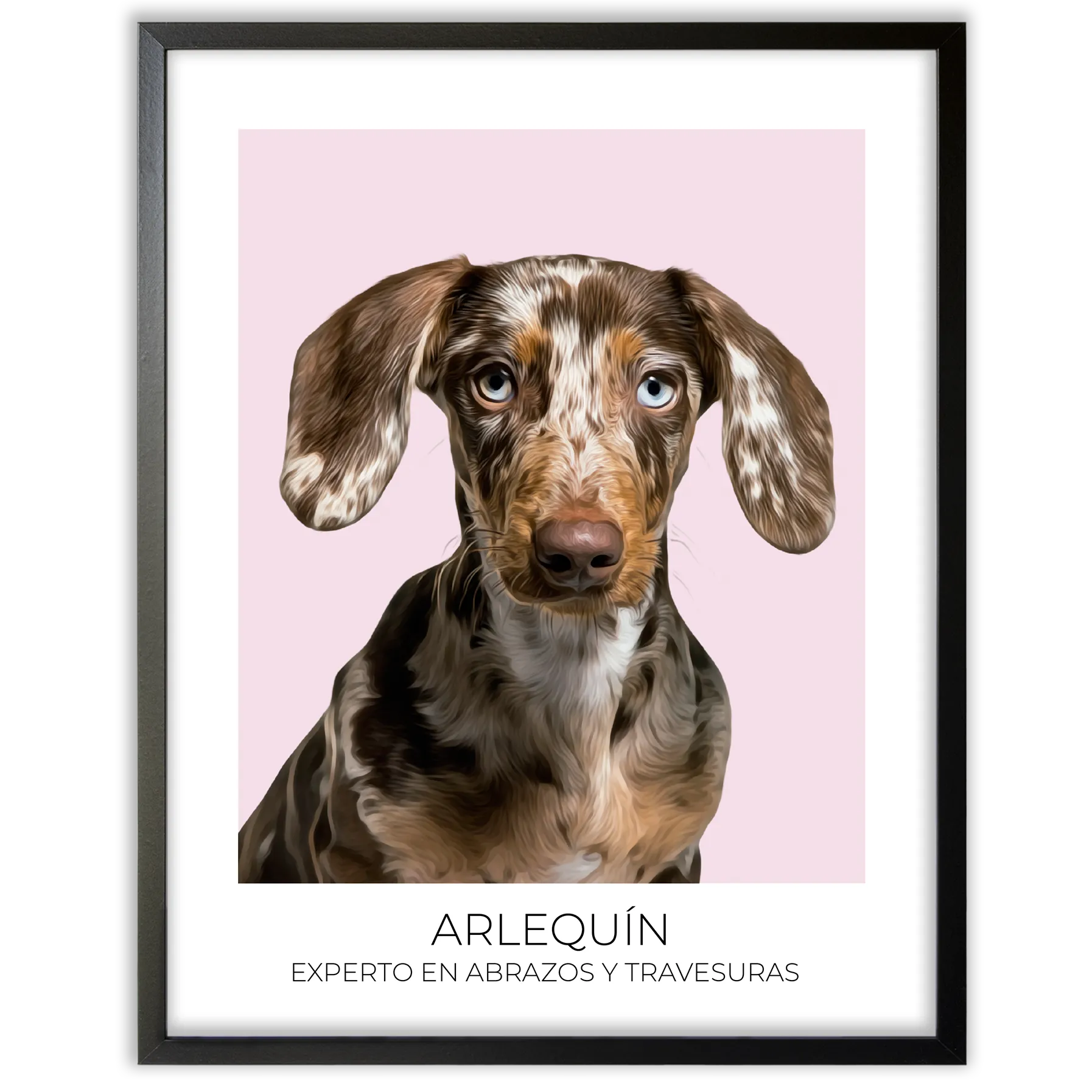 Cuadro retrato recuerdo mascotas