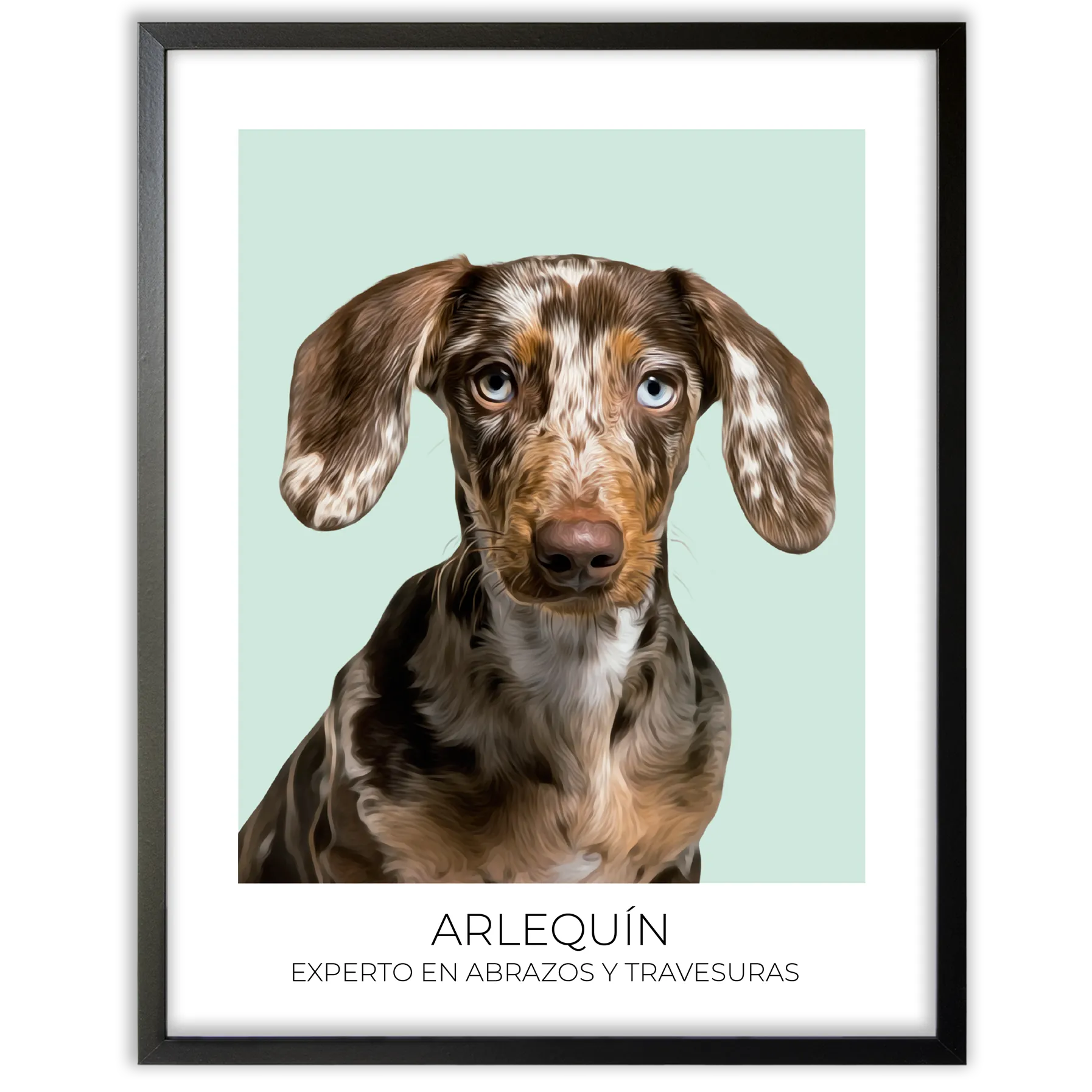 Cuadro retrato recuerdo mascotas