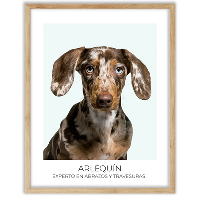 Cuadro retrato recuerdo mascotas