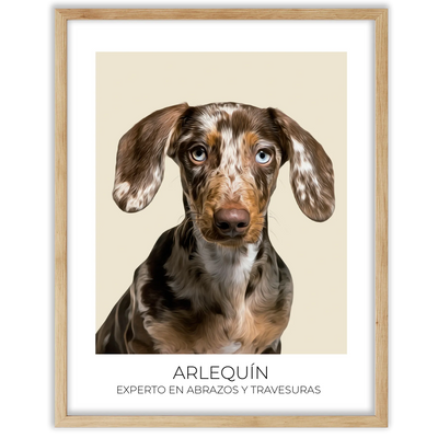 Cuadro retrato recuerdo mascotas
