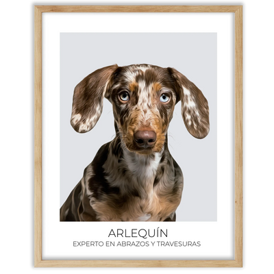 Cuadro retrato recuerdo mascotas