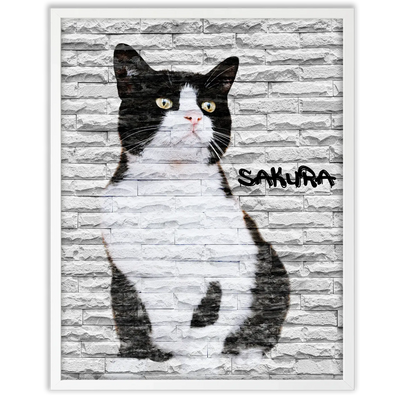 Dibujo de mascotas Urban Wall