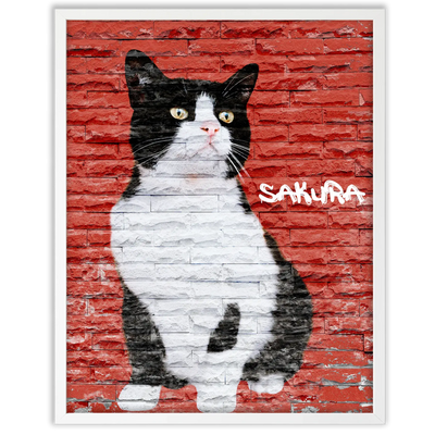 Dibujo de mascotas Urban Wall