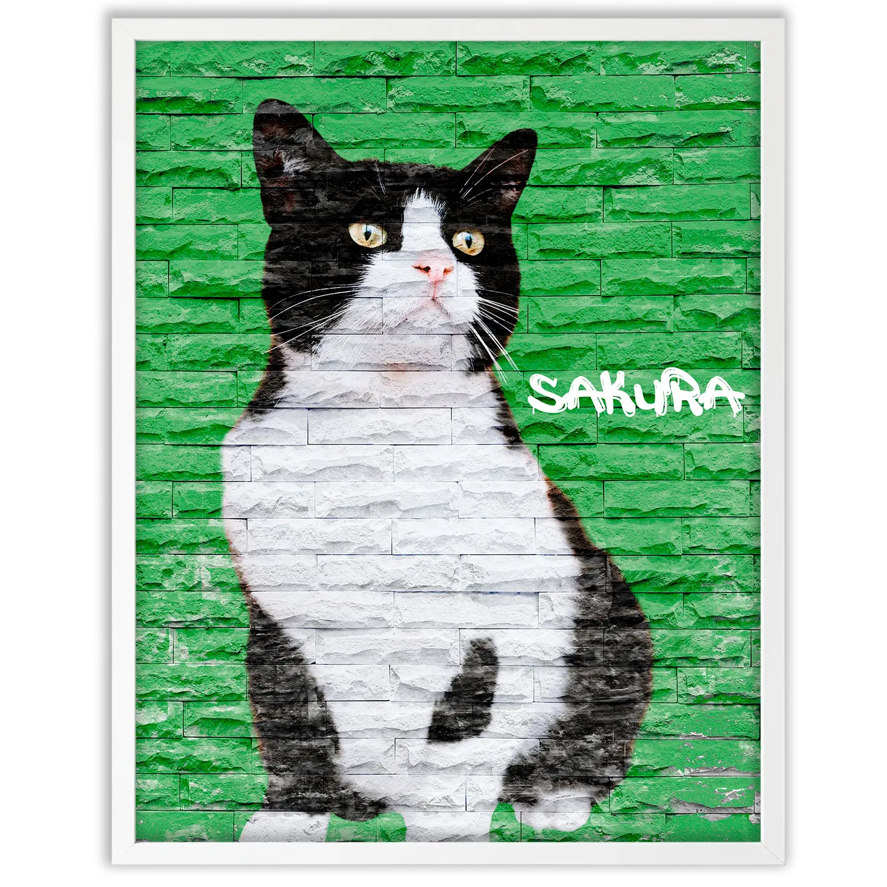 Dibujo de mascotas Urban Wall