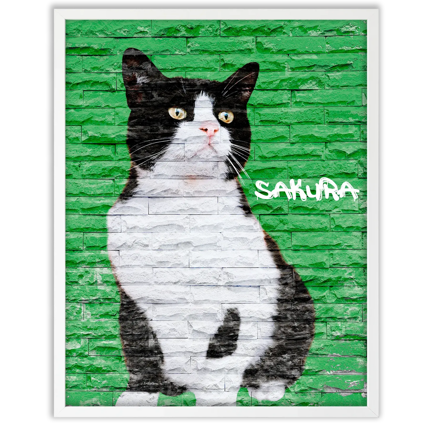 Dibujo de mascotas Urban Wall