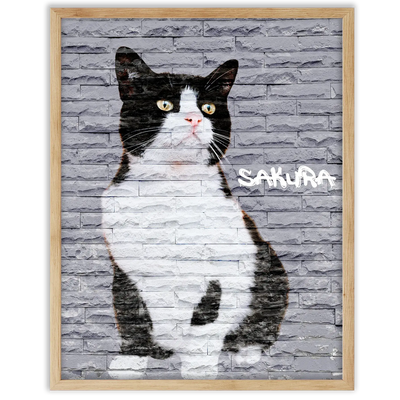 Dibujo de mascotas Urban Wall