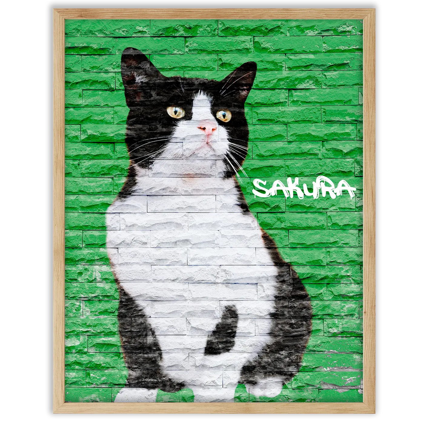 Dibujo de mascotas Urban Wall