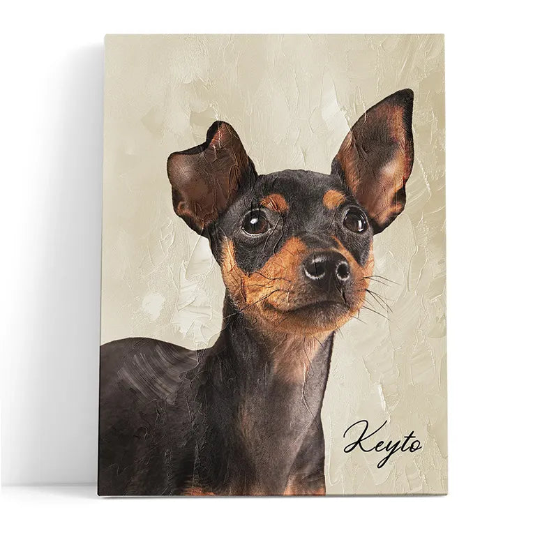 Diseño artístico de mascotas