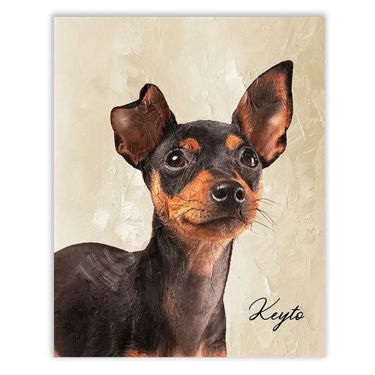 Diseño artístico de mascotas