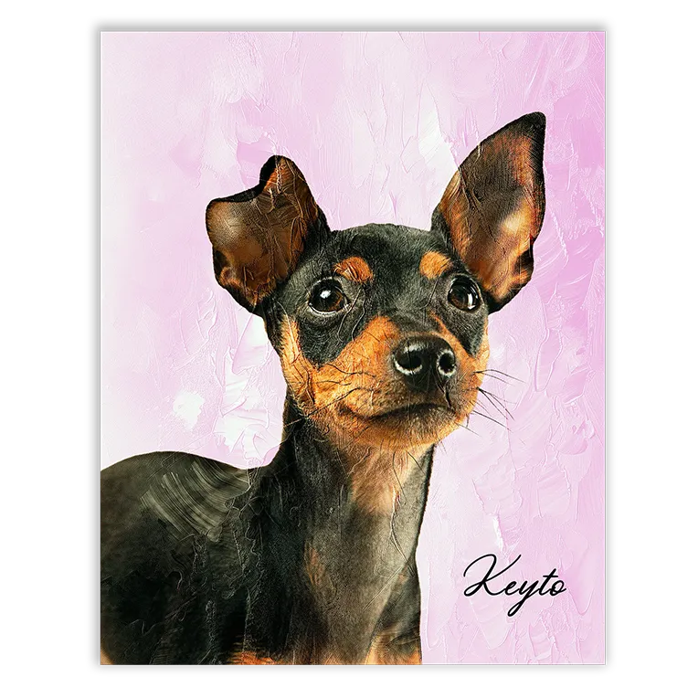 Diseño artístico de mascotas