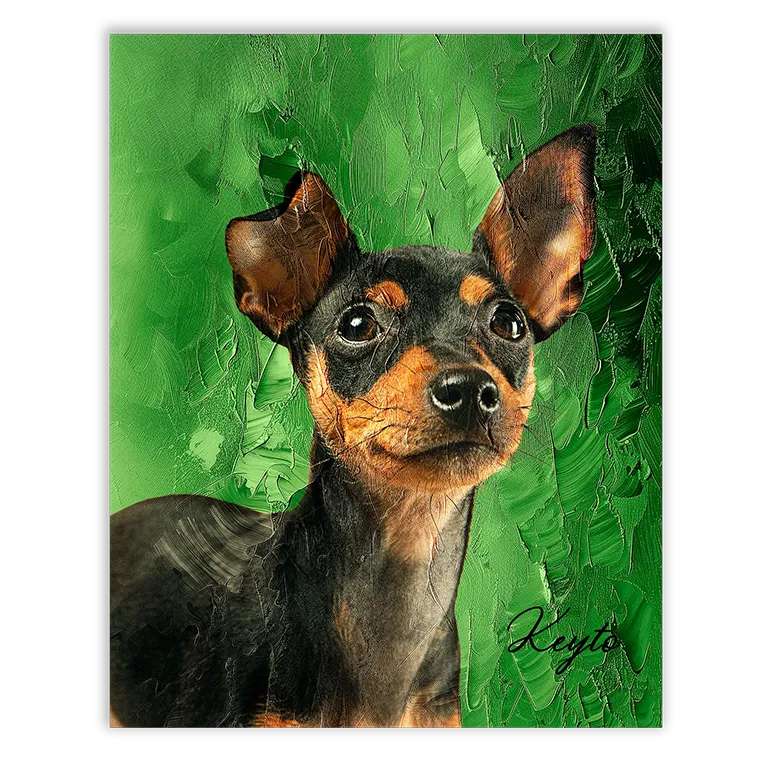 Diseño artístico de mascotas