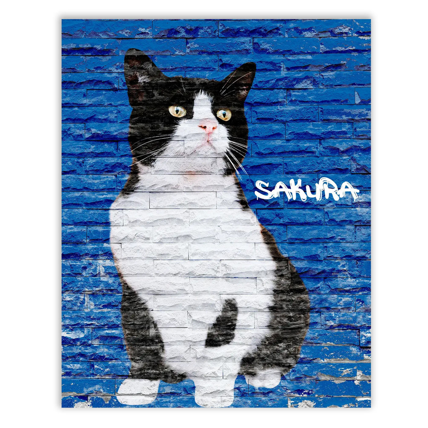 Dibujo de mascotas Urban Wall