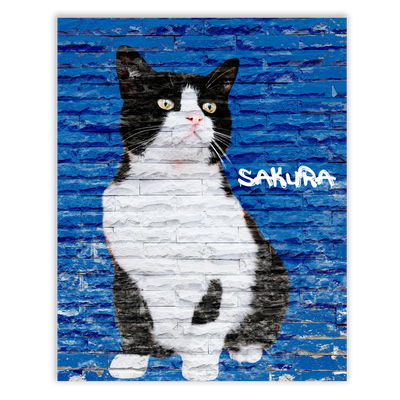 Dibujo de mascotas Urban Wall