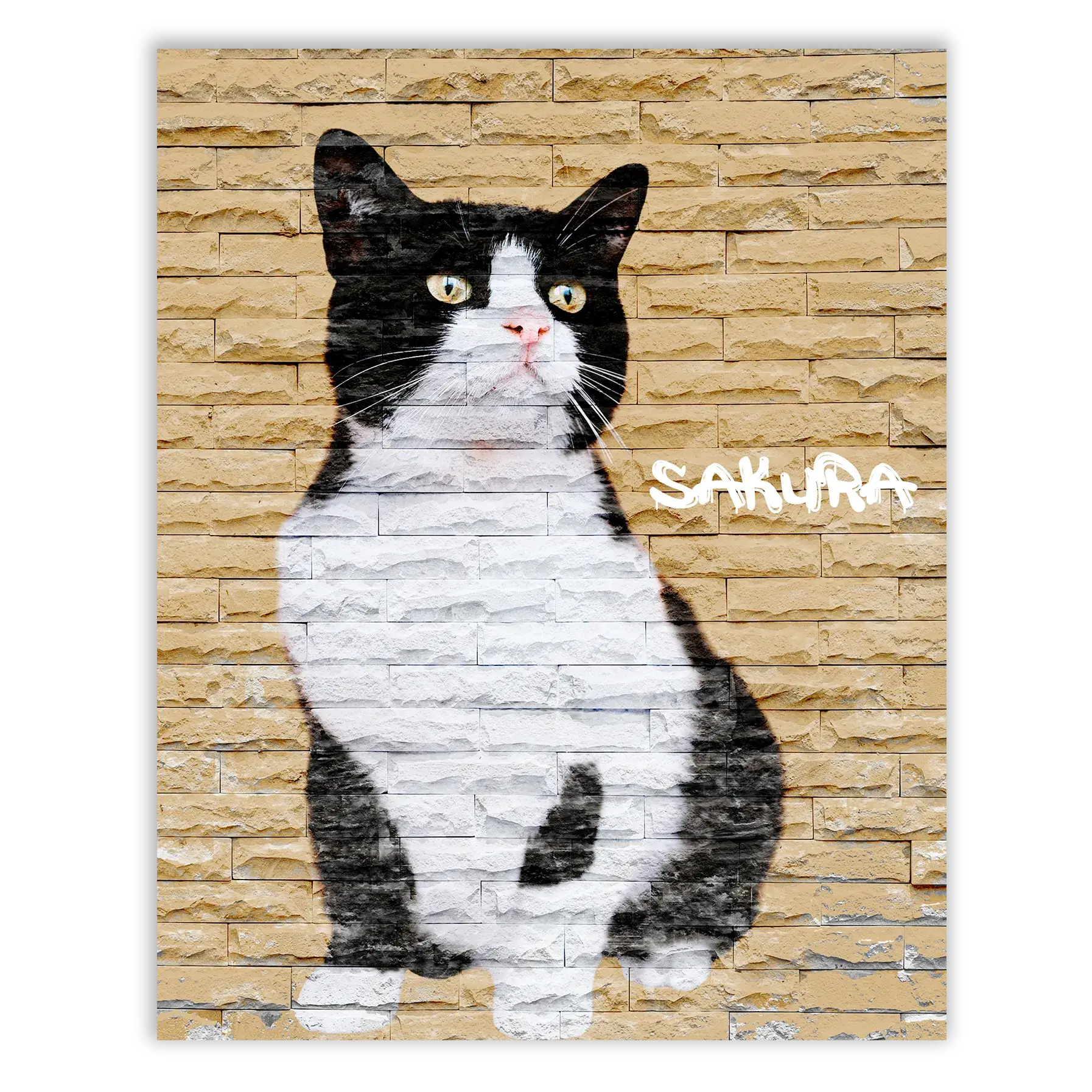 Dibujo de mascotas Urban Wall