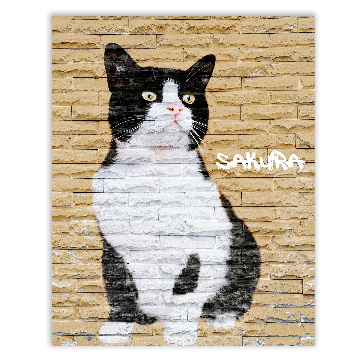 Dibujo de mascotas Urban Wall