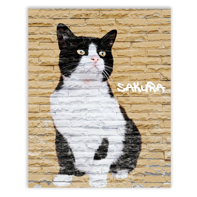 Dibujo de mascotas Urban Wall