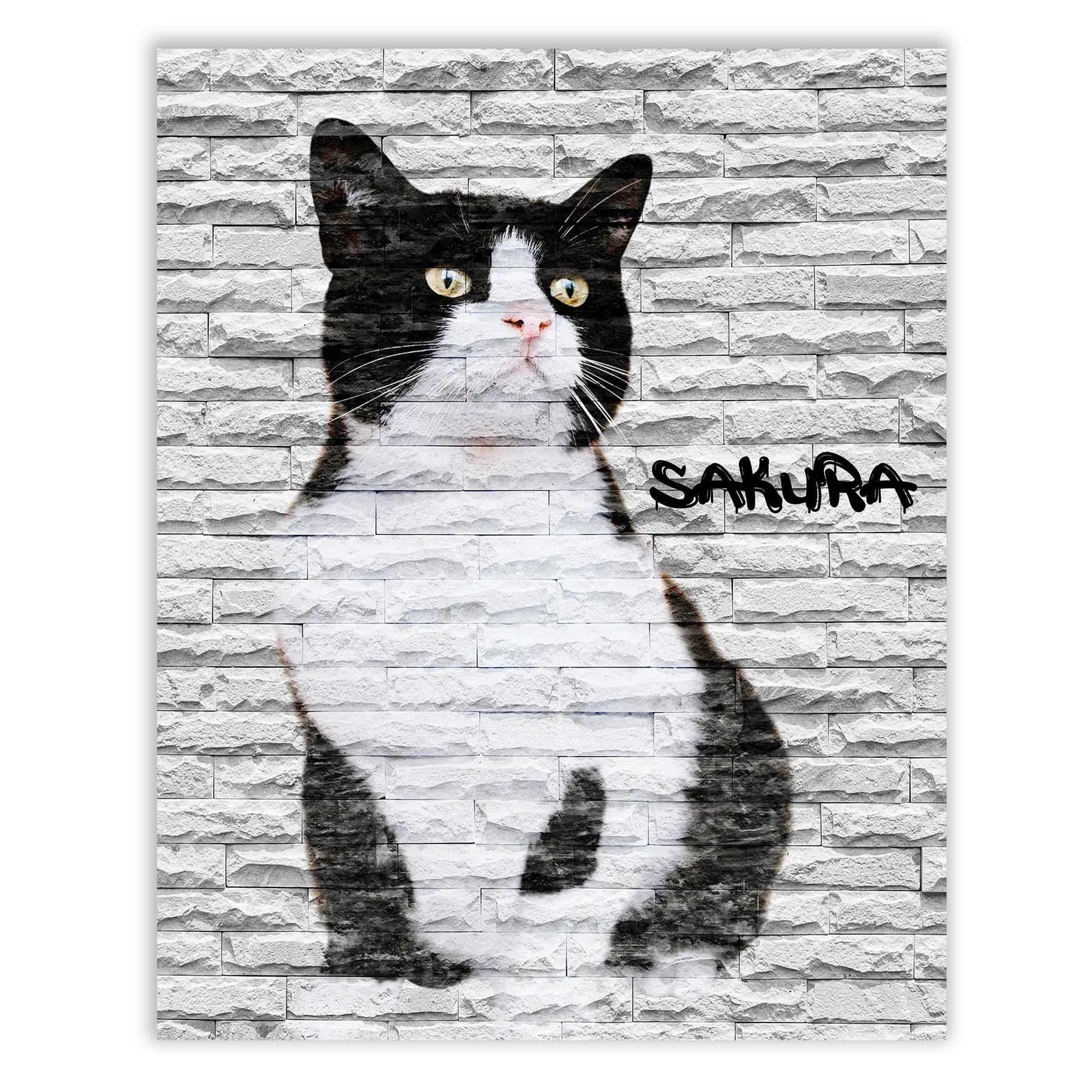 Dibujo de mascotas Urban Wall