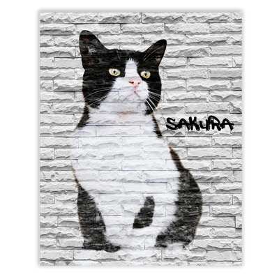 Dibujo de mascotas Urban Wall