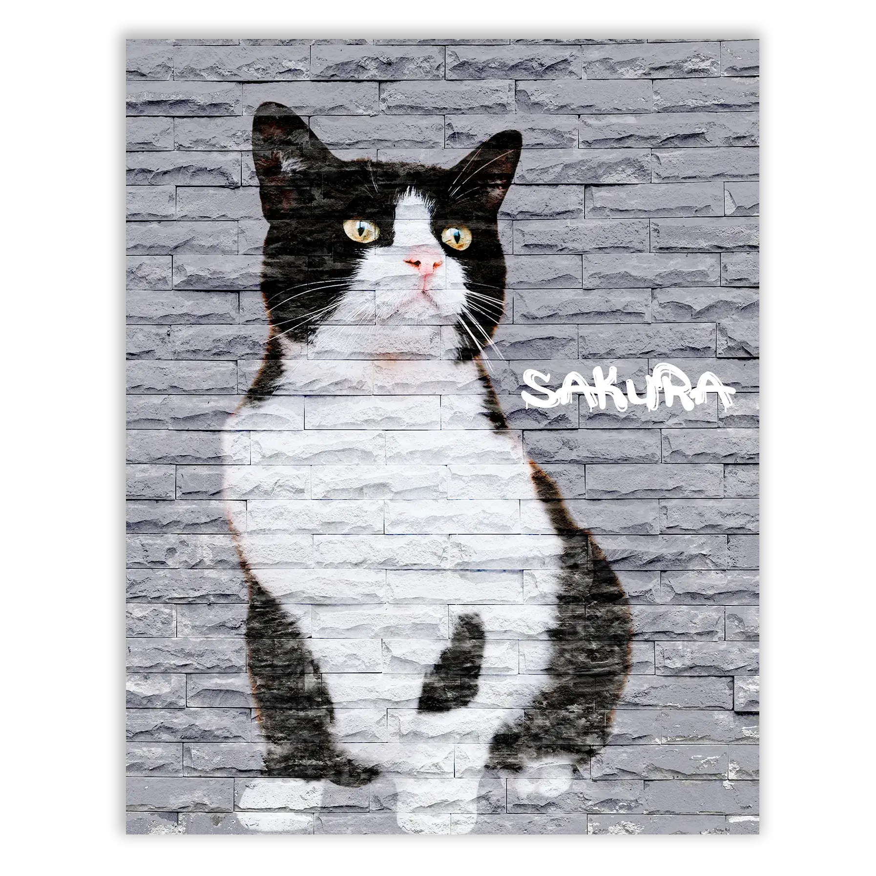 Dibujo de mascotas Urban Wall