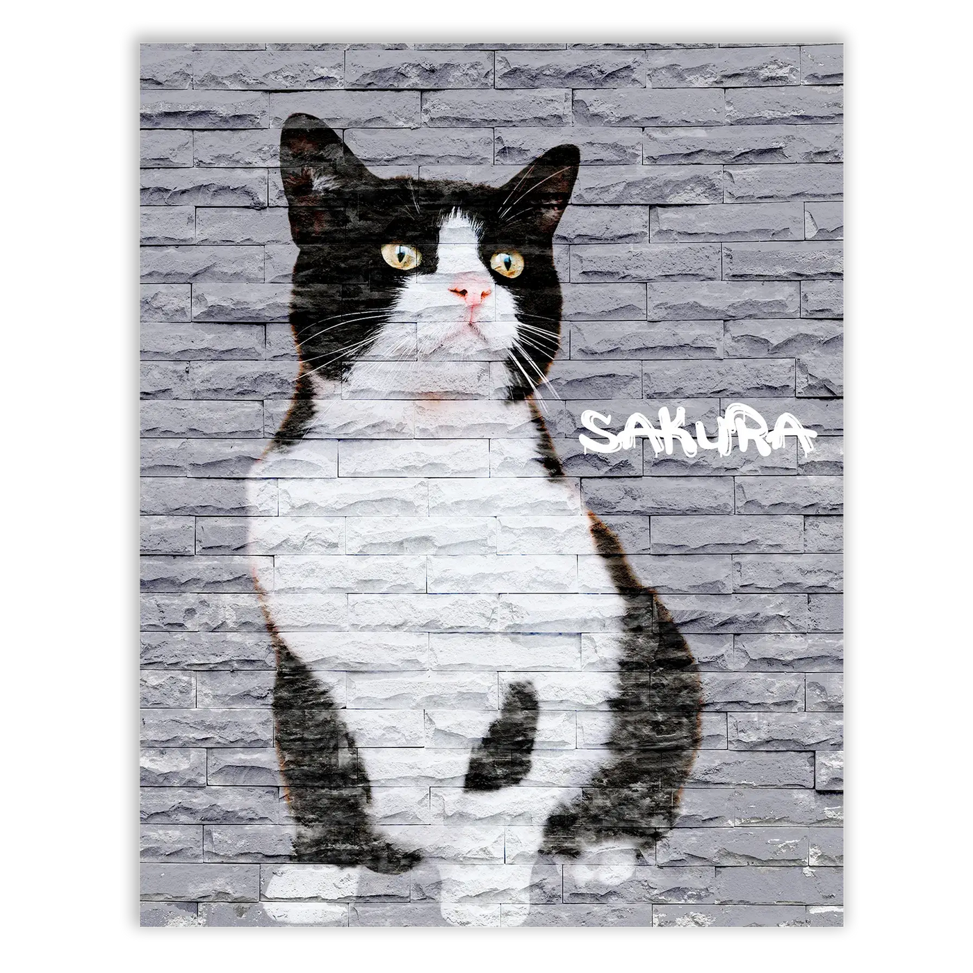 Dibujo de mascotas Urban Wall