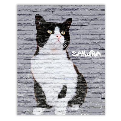 Dibujo de mascotas Urban Wall